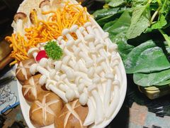 -慢丽江·云南野生菌土鸡锅(西山店)