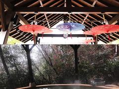 -天目湖涵田半山温泉