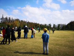 -前小桔亲子创意农场·草莓采摘·露营烧烤