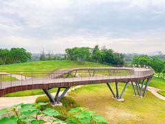 -白鹭湾湿地公园