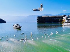 -大理洱海