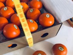 -沈阳市八家子水果批发市场