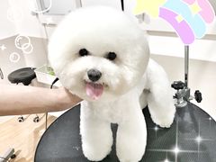 -Double Rui宠物酒店