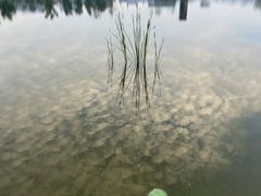-日照海滨国家森林公园