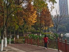 -重庆彩云湖湿地公园