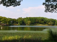 -新洲生态园