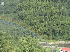 -磐安舞龙峡景区