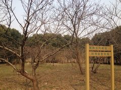 -蜀冈西峰生态公园