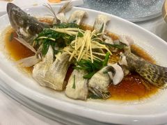 -海派铜锣湾(打浦路店)