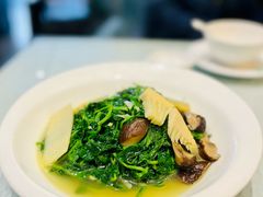豆苗-镇扬菜馆