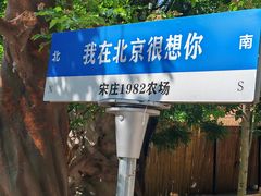 -1982农场