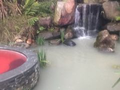 -汇雅温泉