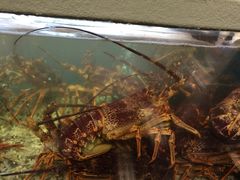 -福升海鲜洒楼