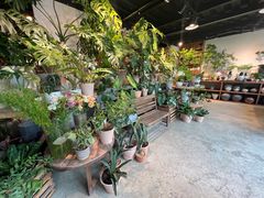 -自由生长植物工作室(深港花卉中心店)