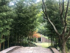 -黄公望隐居地