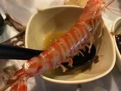 -鲜入围煮花胶鸡海鲜火锅