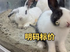 -金光华广场