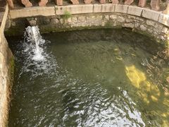 -趵突泉景区