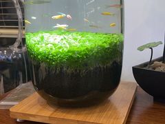 -惠西湾原切牛排生鲜(荣巷店)
