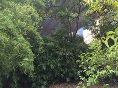 -小海豚国际游泳培训(长宁龙之梦酒店)