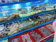 -望海潮海鲜店 特色家常菜(在海一方店)