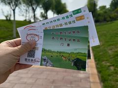 -青藏高原野生动物园