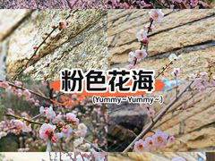 -草庵摩尼教遗址公园
