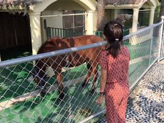 -三亚亚龙湾天域度假酒店