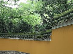 -普陀山风景名胜区-法雨禅寺