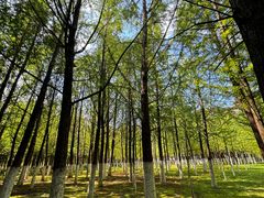 -云南艺术学院(呈贡校区)