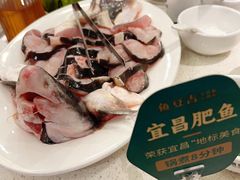 -鱼豆吉·豆浆鱼火锅(宜昌万达店)