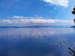 -抚仙湖禄充风景区