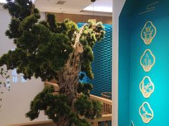 -呷湘厨·鱼汤捞饭·剁椒鱼头·辣椒炒肉(国家会展中心店)