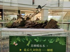 -LuOne凯德晶萃广场(徐家汇路店)