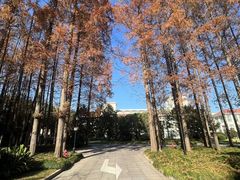 -上海虹桥迎宾馆