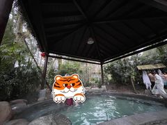 -青城道汤池