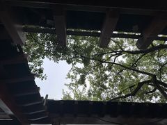 -西湖游船