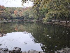 -灵谷景区