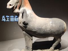 -大同市博物馆