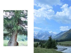 -新疆国际大巴扎