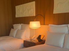 -拉斯维加斯永利酒店