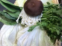-友乐居羊蝎子(西直门店)
