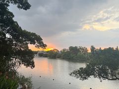 -江心屿景区