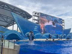 -上海海昌海洋公园