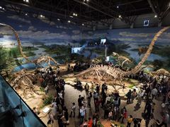 -自贡恐龙博物馆