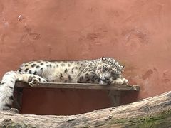 -青藏高原野生动物园