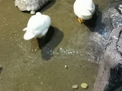 -苏州海洋馆