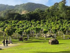 -龙洞风景区-藏龙涧