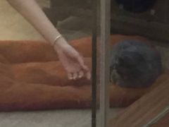 -猫爷宠物生活馆·撸猫馆