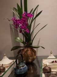 -文华东方水疗中心